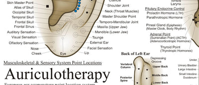 Study charts acupuncture chiropractic