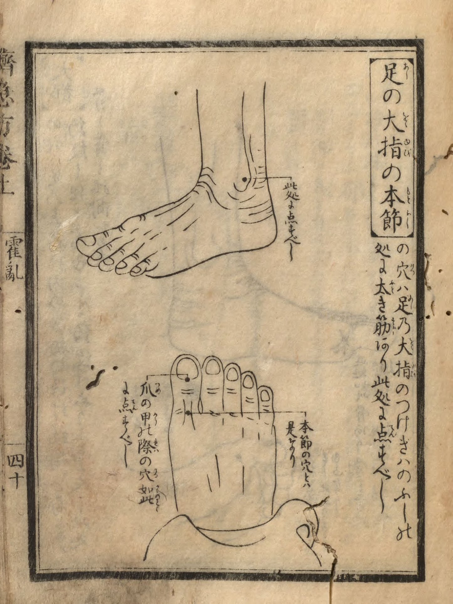 Chinese Medicine Japanese Acupuncture Vintage Illustrations Prints Download