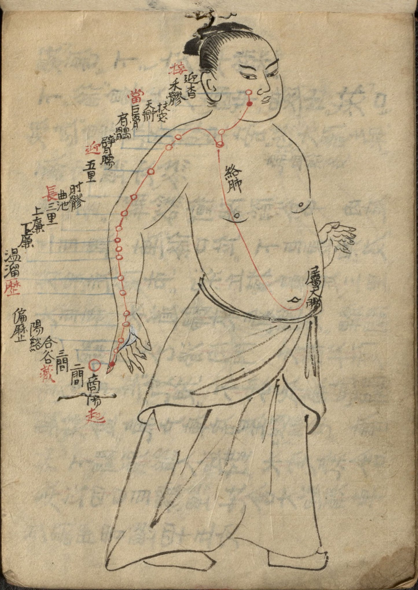 Chinese Medicine Japanese Acupuncture Vintage Illustrations Prints Download