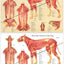 Dog muscular anatomy poster