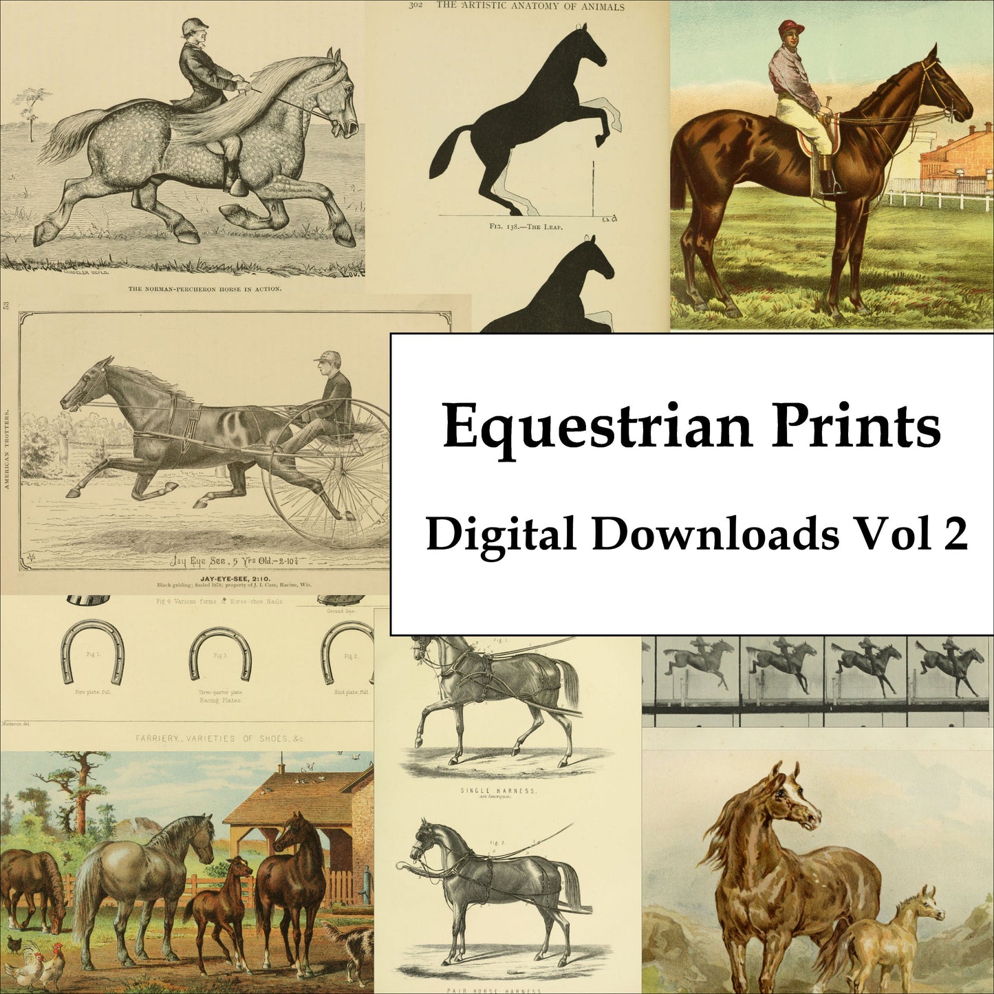 Horse Equestrian Vintage Horseback Riding Ephemera Digital Print Download