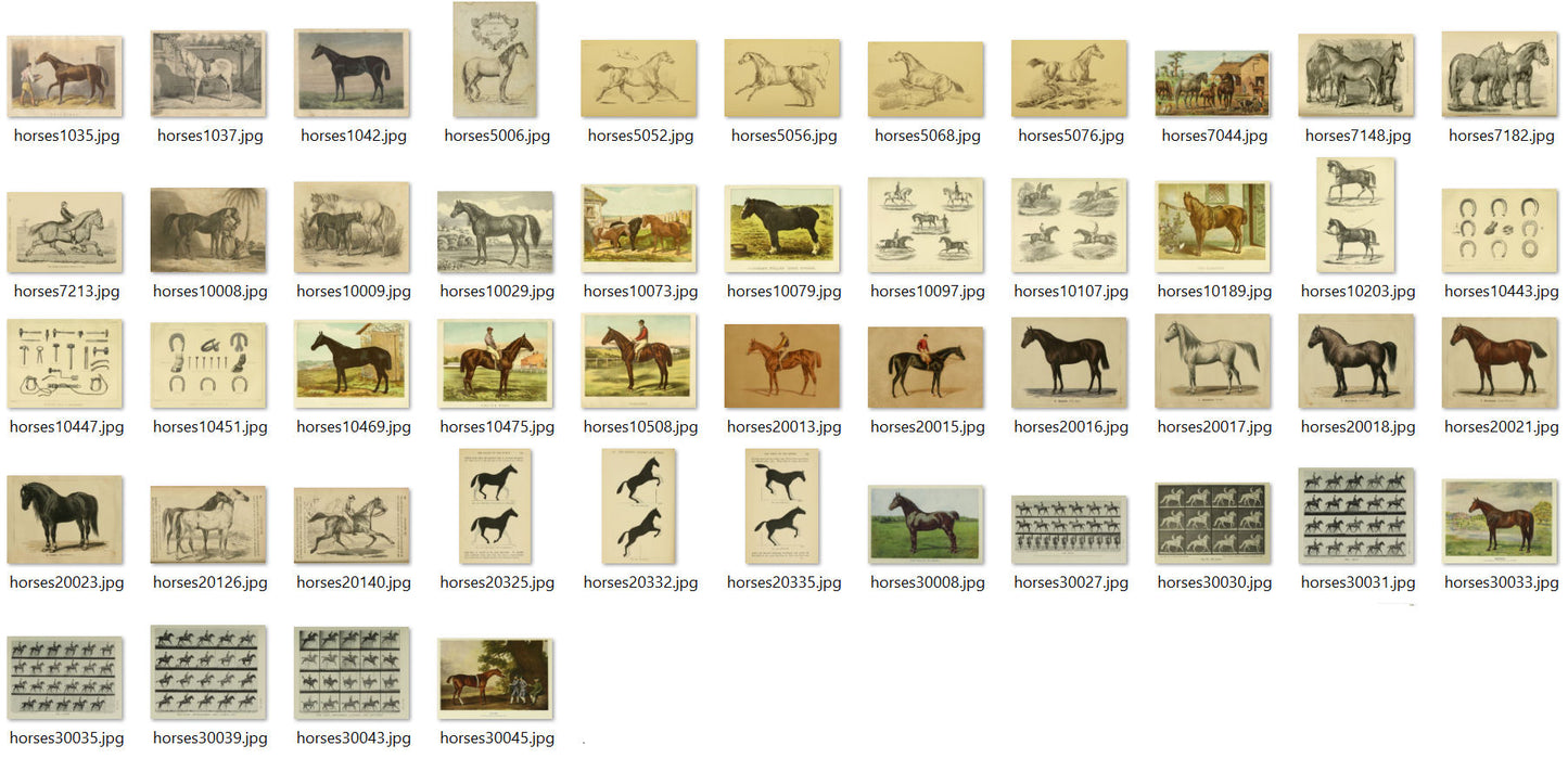 Horse Equestrian Vintage Horseback Riding Ephemera Digital Print Download
