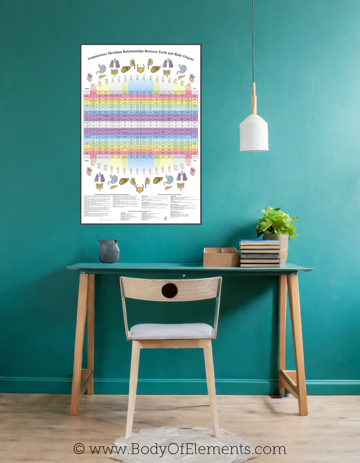 Acupuncture clinic wall chart dental