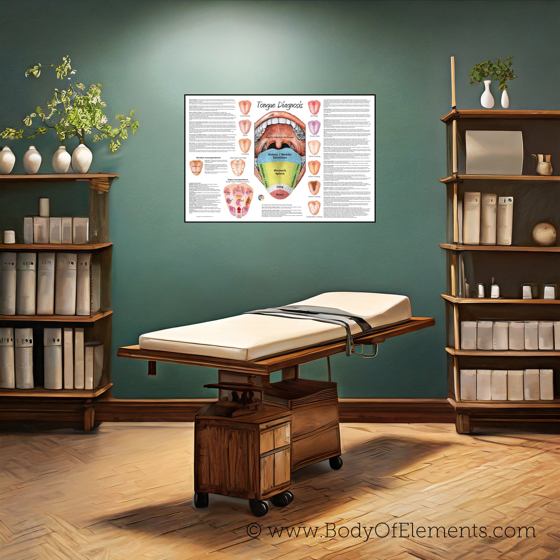 Acupuncture clinic wall chart tongue diagnosis
