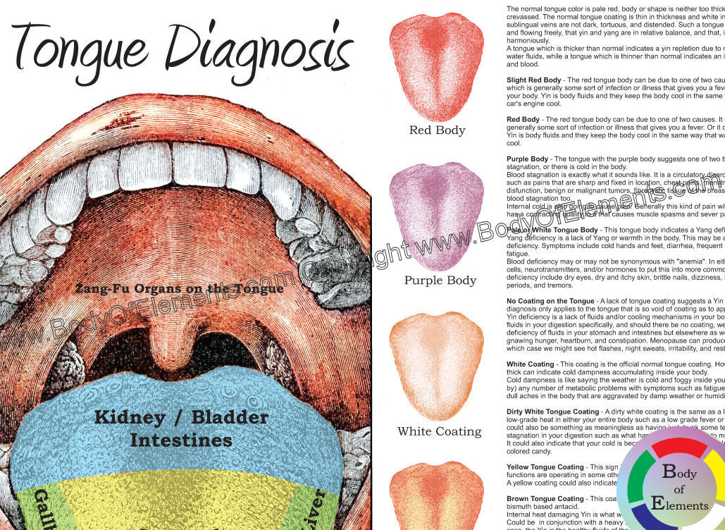 Ayurvedic tongue map
