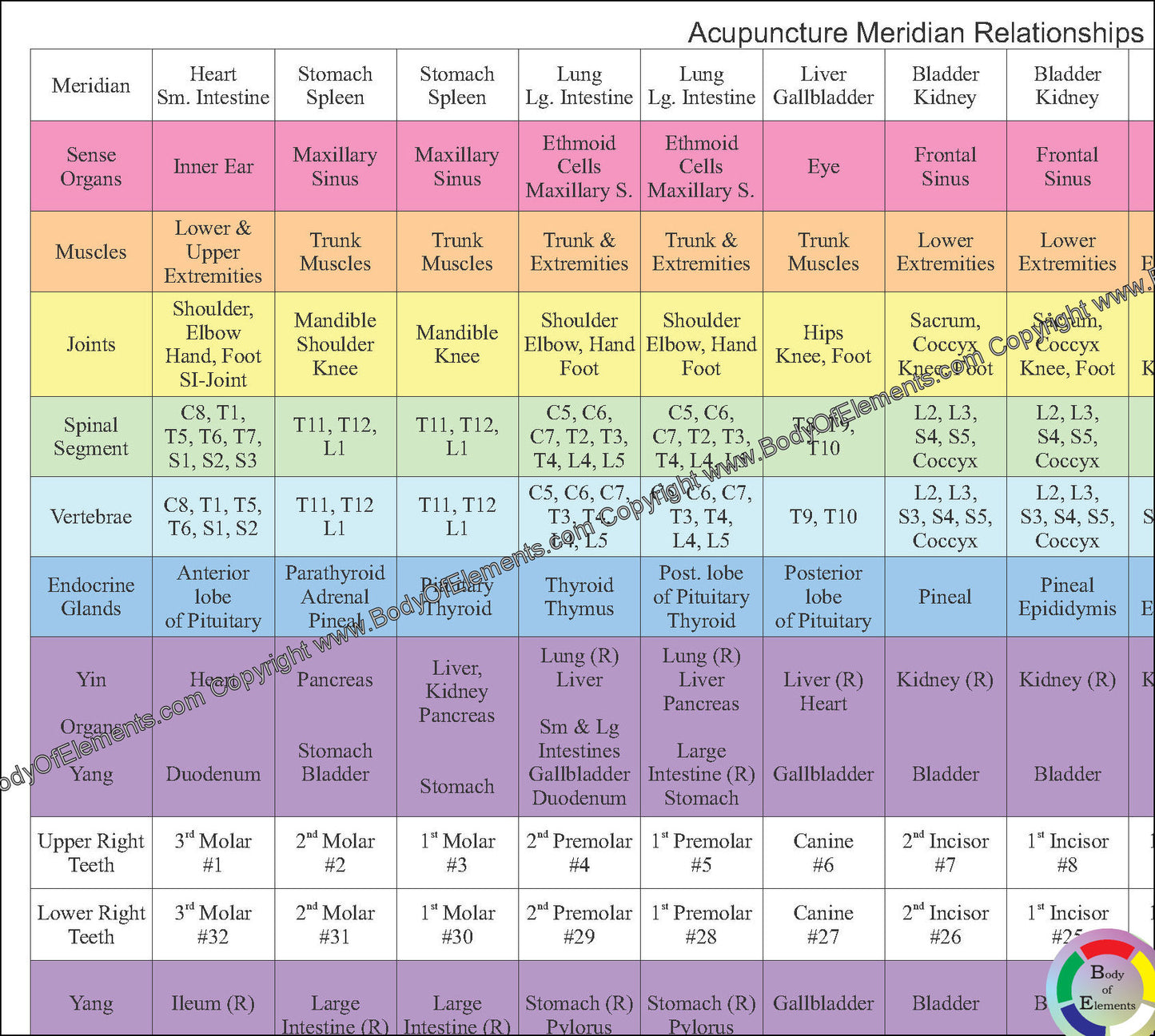 Acupuncture meridian relationships teeth and body