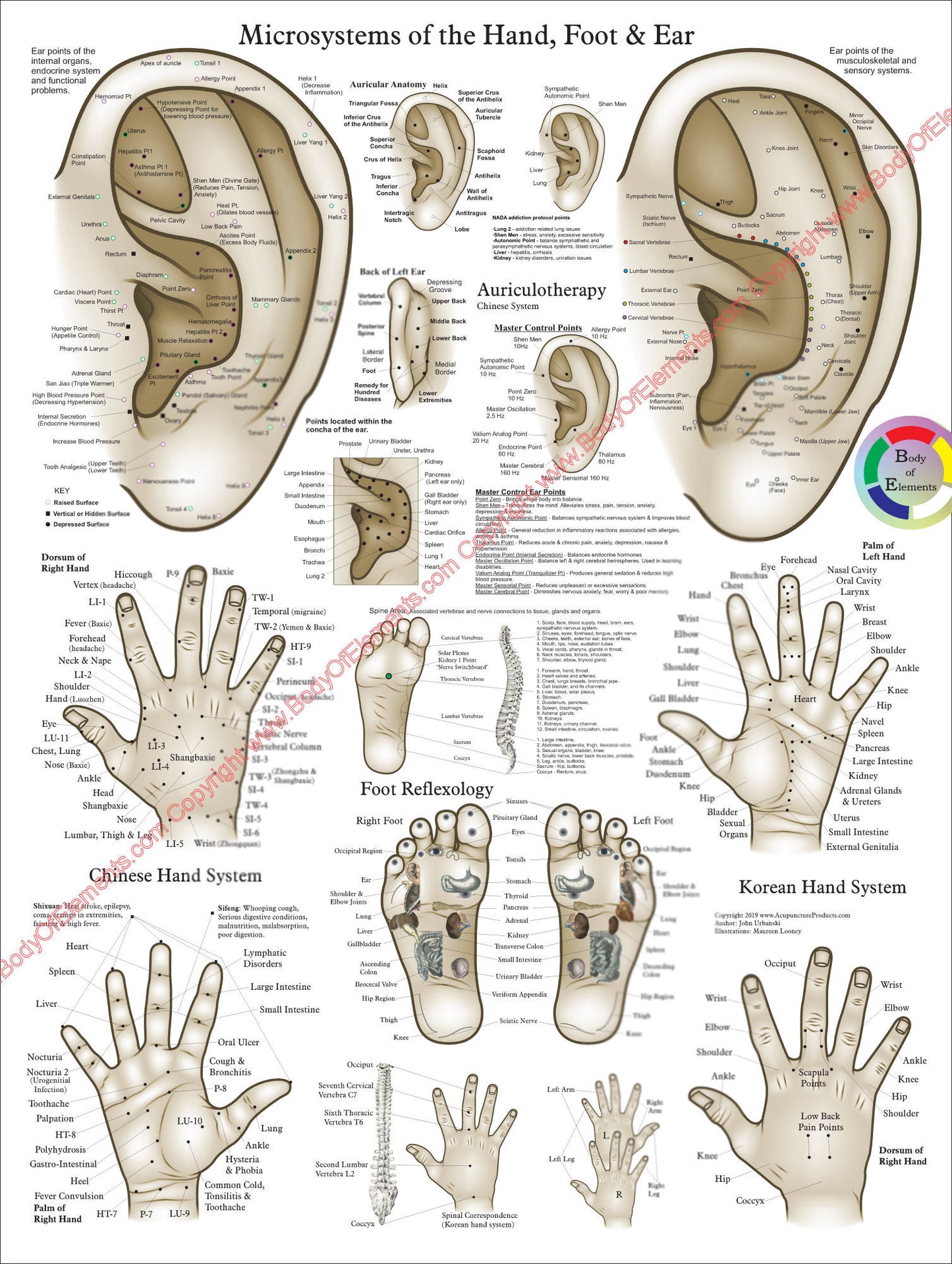 Acupuncture Microsystems of the Hand Foot and Ear Poster