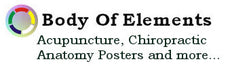 Body of Elements