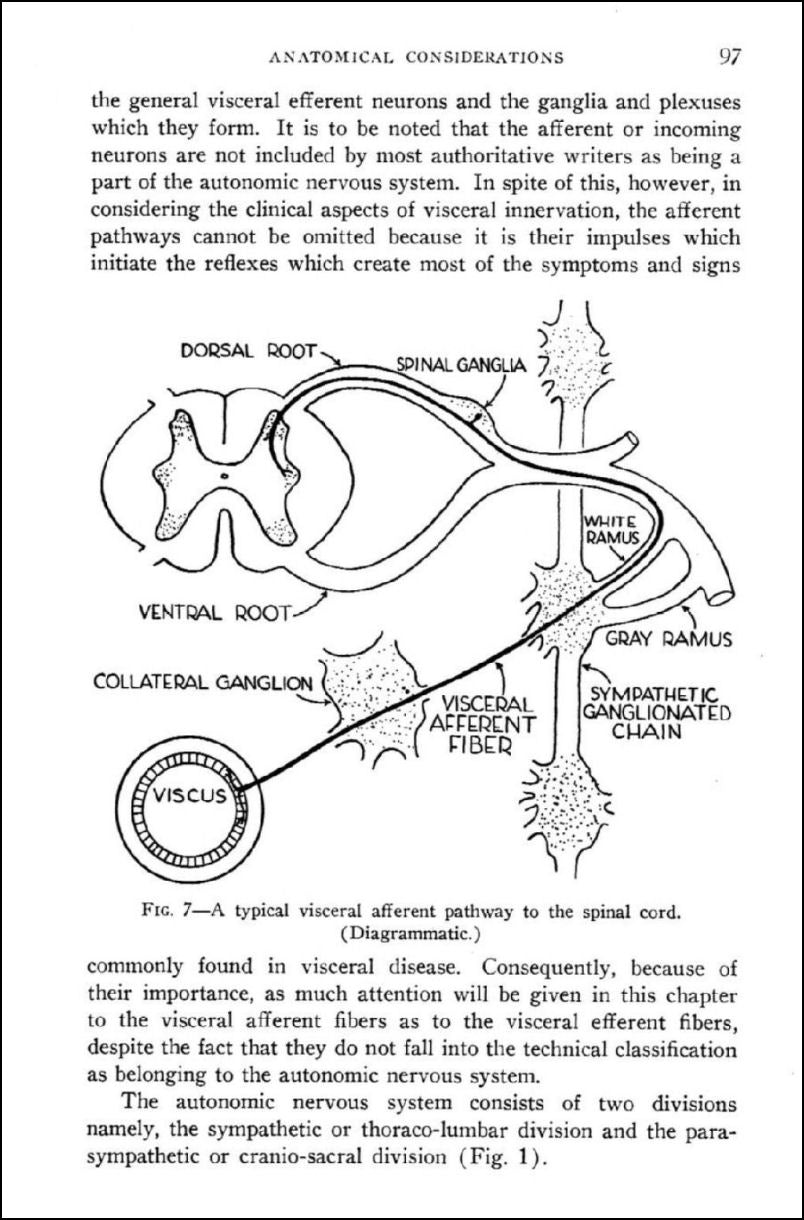 Chiropractic Principles and Technic For Use by Students and Practitioners