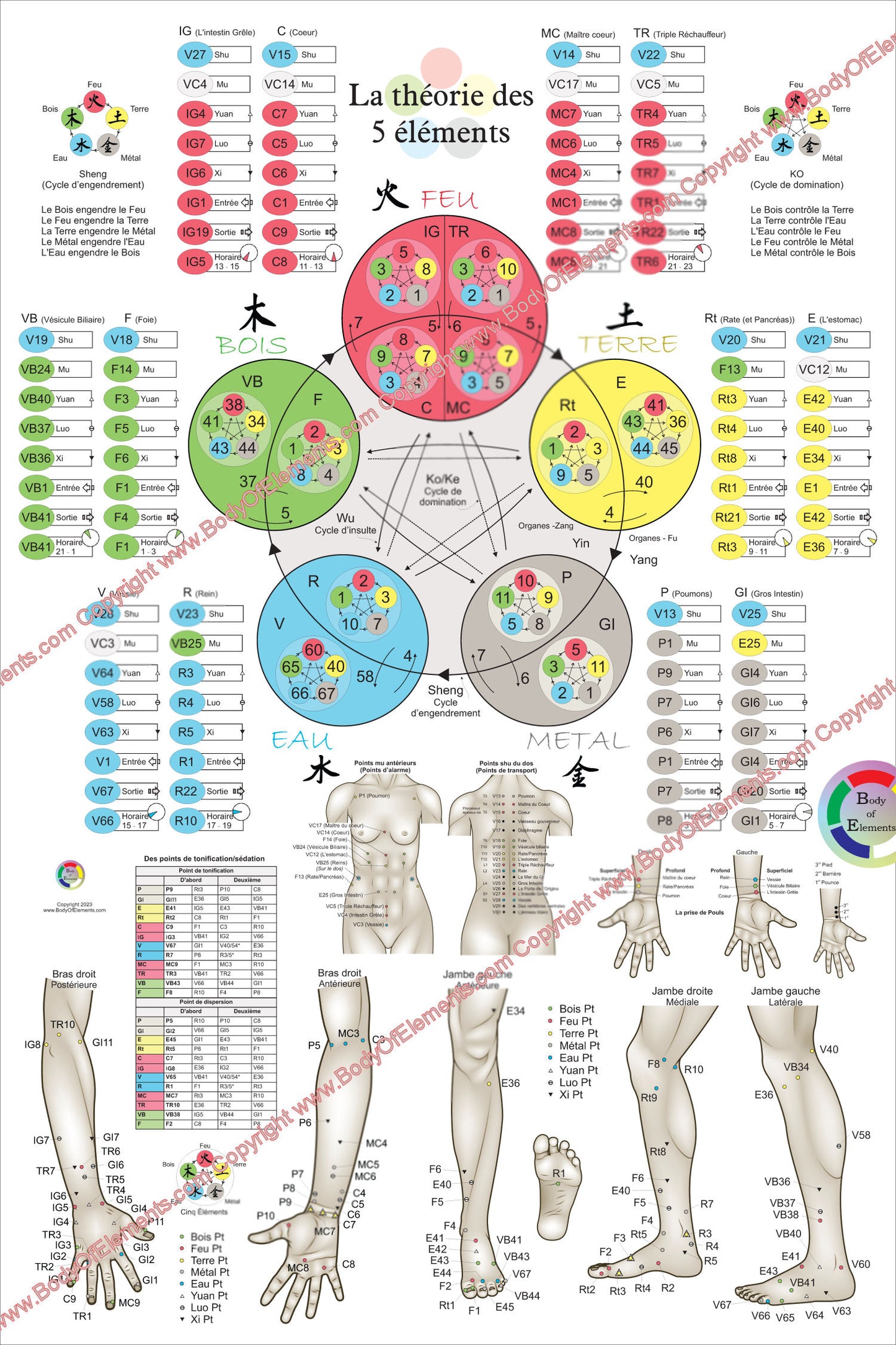 French Five Elements of Acupuncture Points Poster