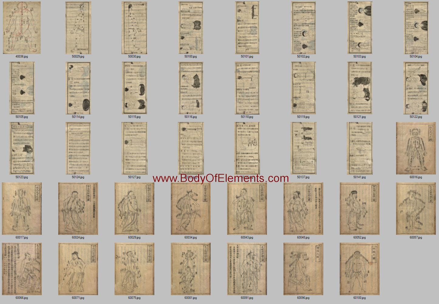 Chinese Medicine Japanese Acupuncture Vintage Illustrations Prints Download