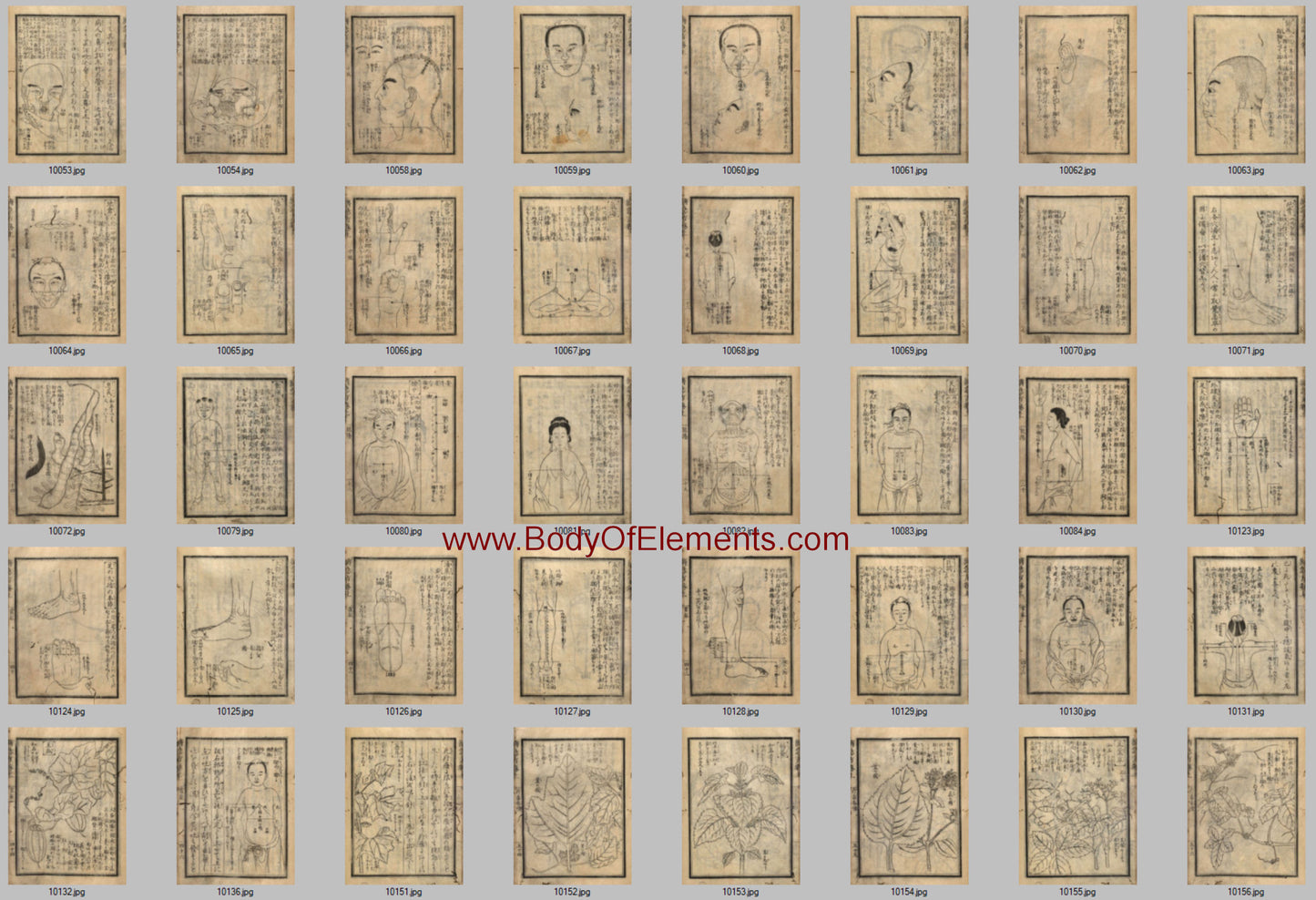 Chinese Medicine Japanese Acupuncture Vintage Illustrations Prints Download