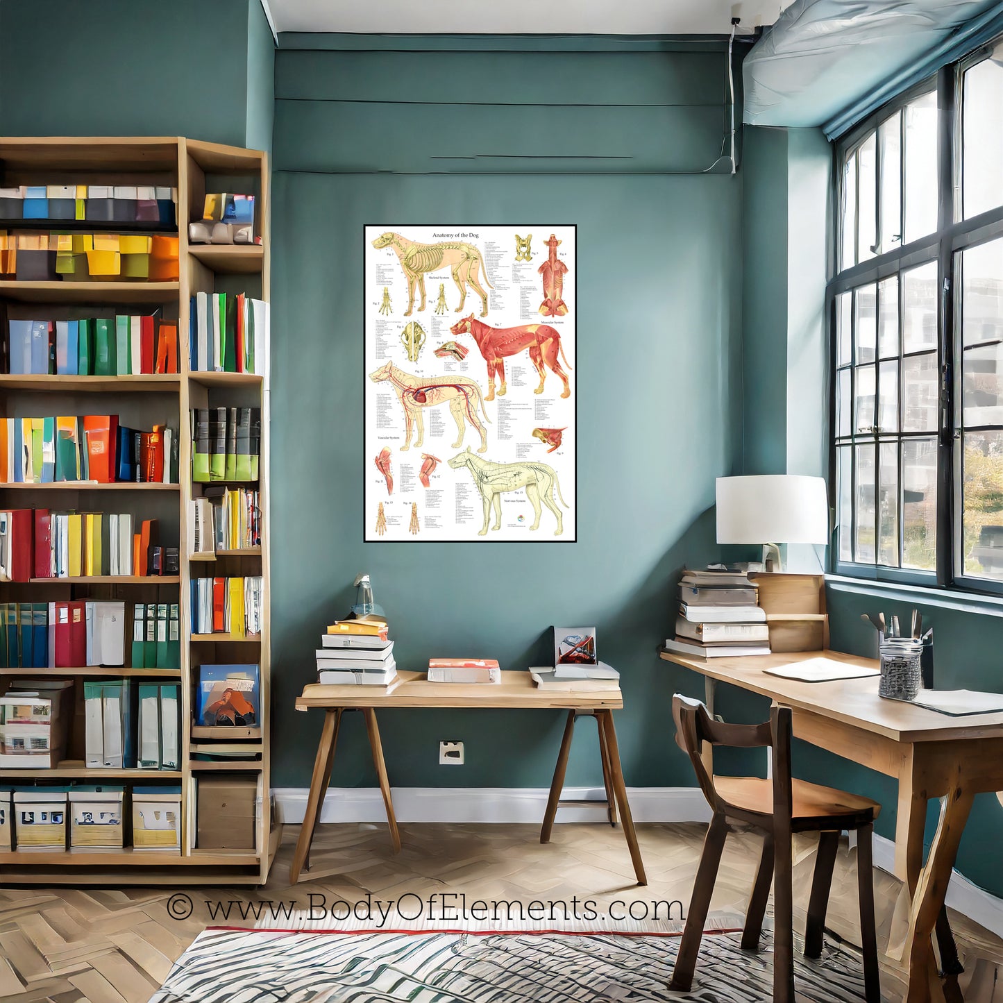 Veterinary clinic wall art