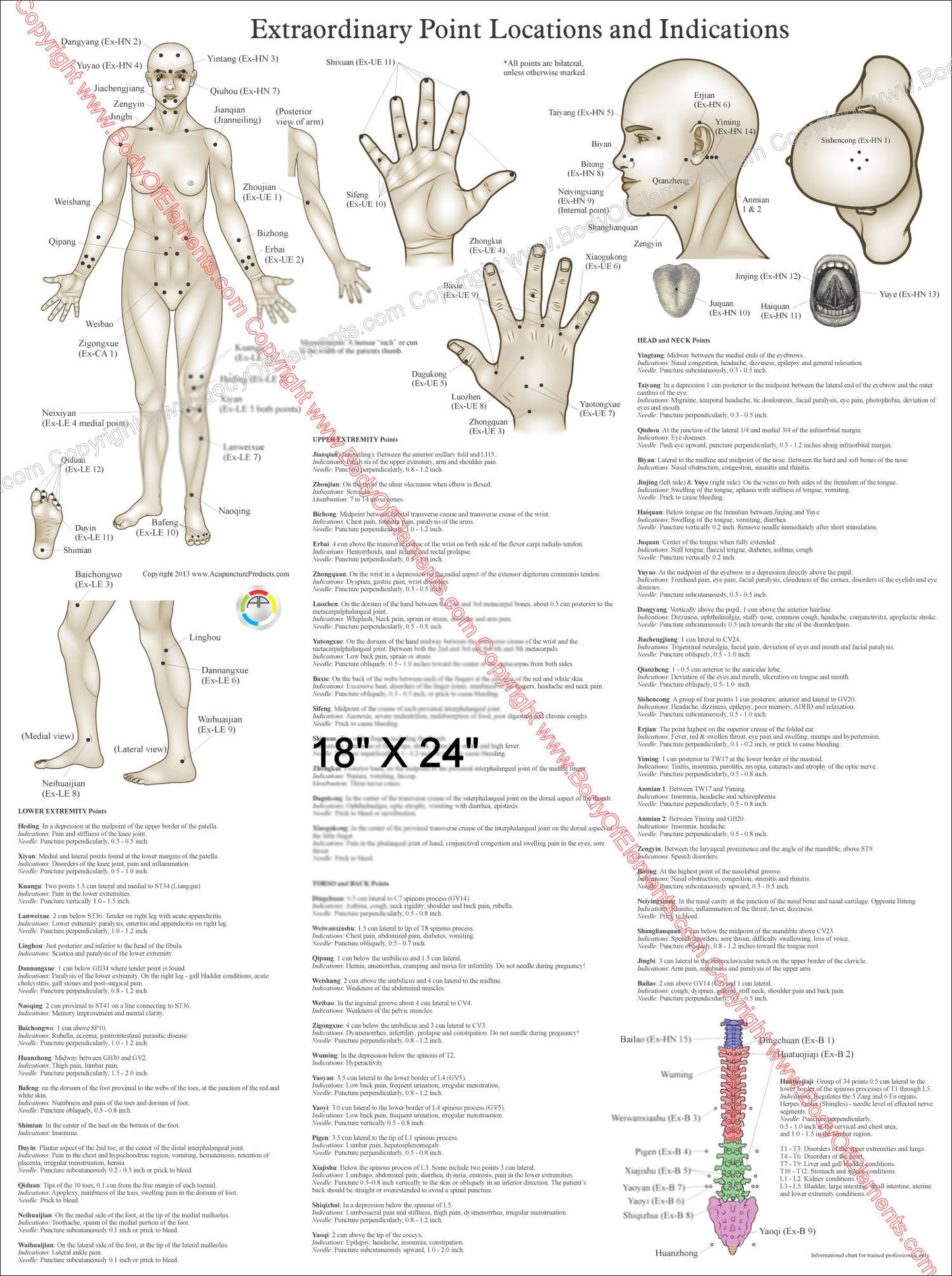 Extraordinary acupuncture point locations poster