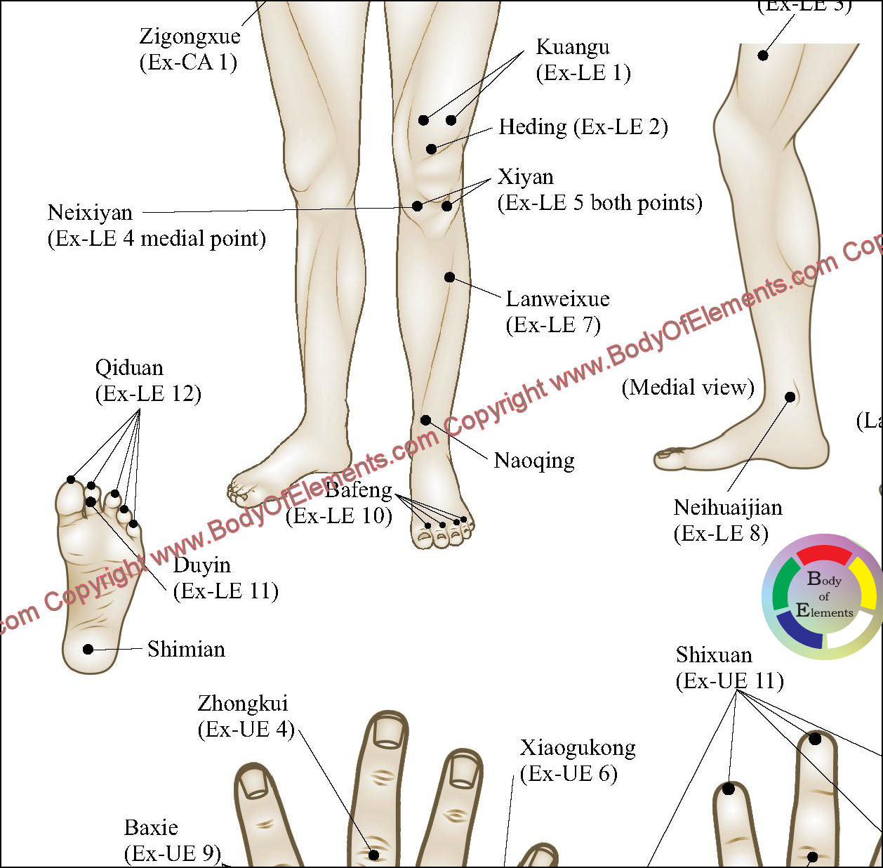 Extra ordinary acupuncture point locations