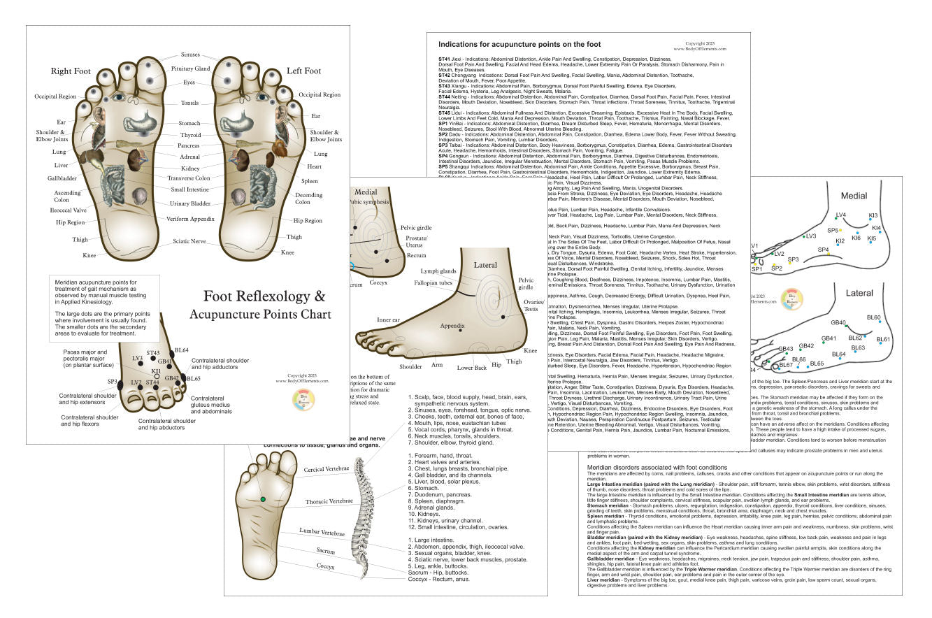 Foot Reflexology and Acupuncture Chart 8.5" X 11"