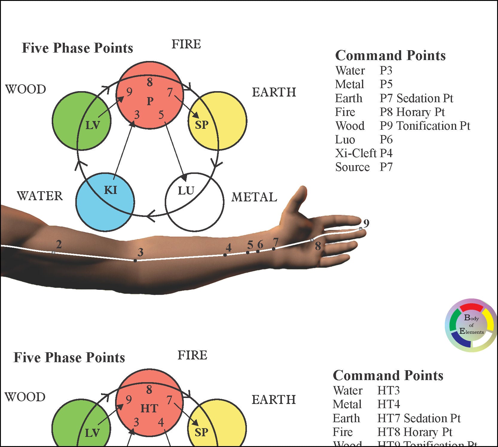 Command points acupuncture meridians