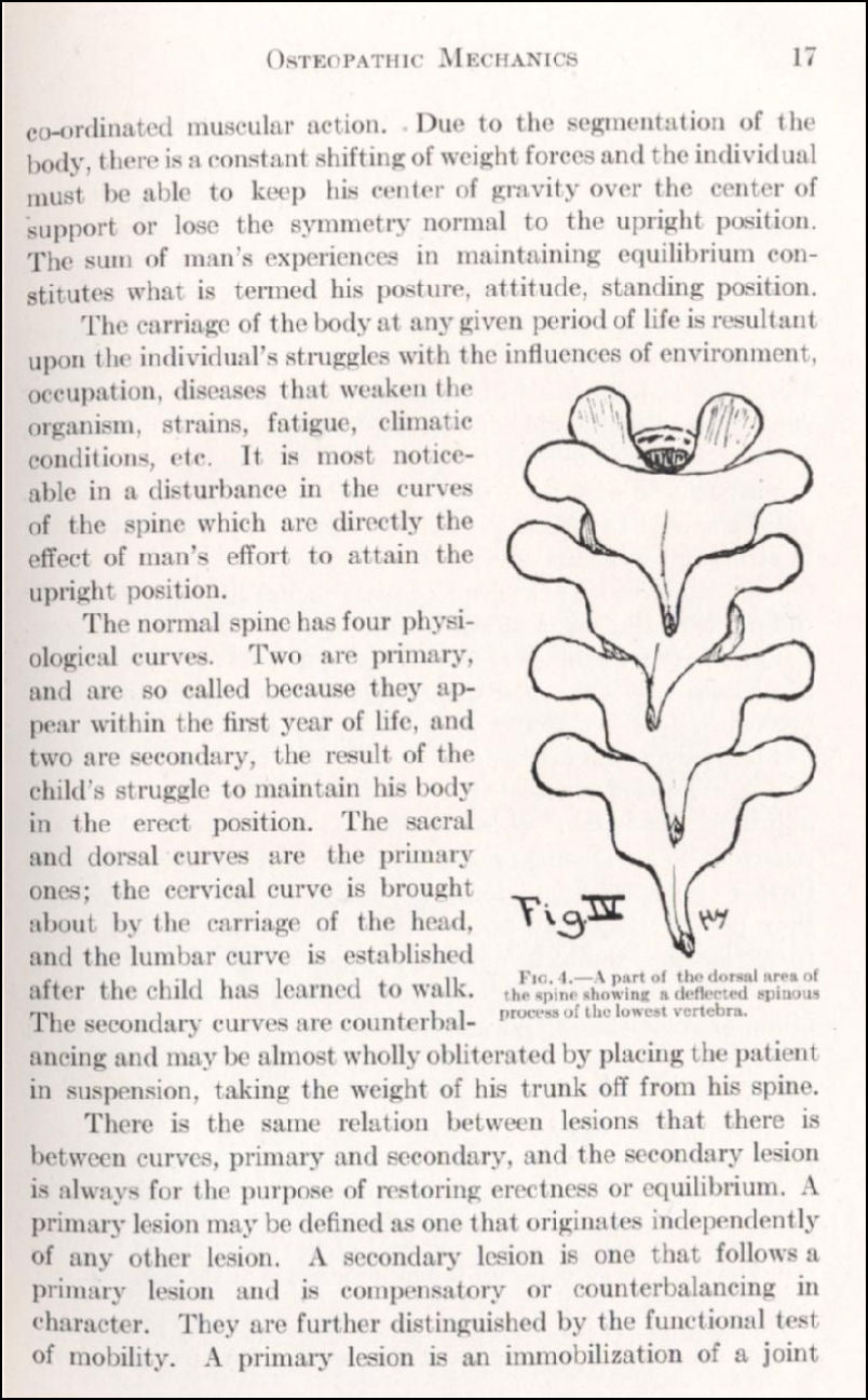 Osteopathic Mechanics Illustrated eBook