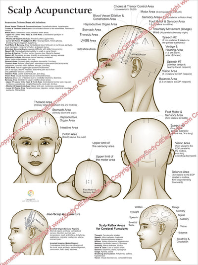 Scalp Acupuncture Points Poster