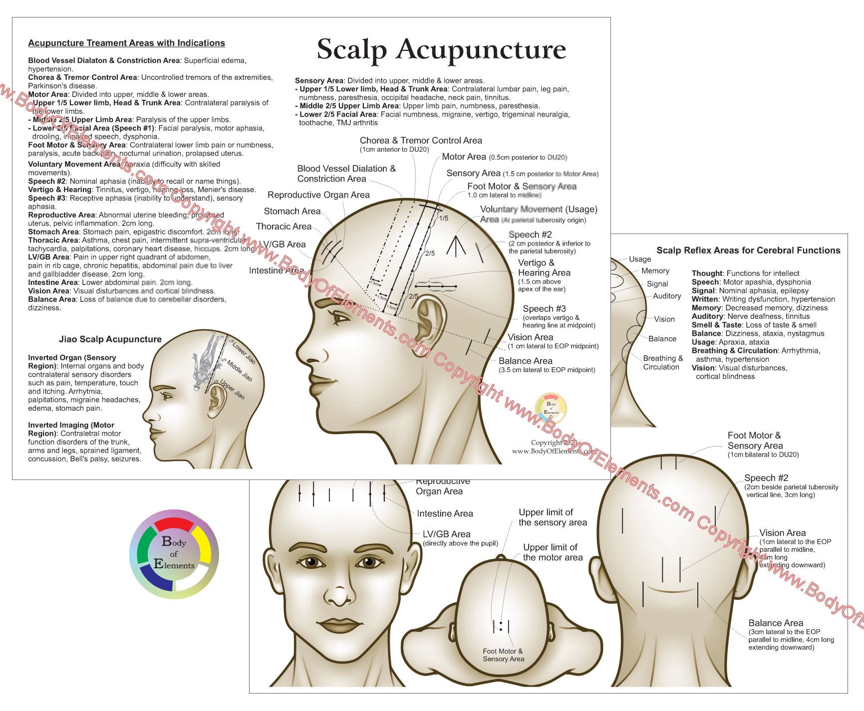 Scalp Acupuncture Points Chart 8.5" X 11" – Body of Elements