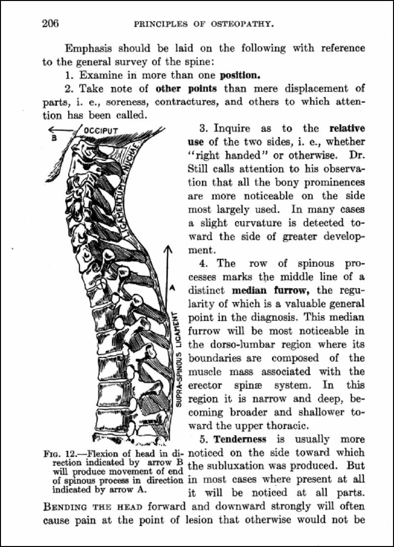 A Text Book of The Principles of Osteopathy eBook