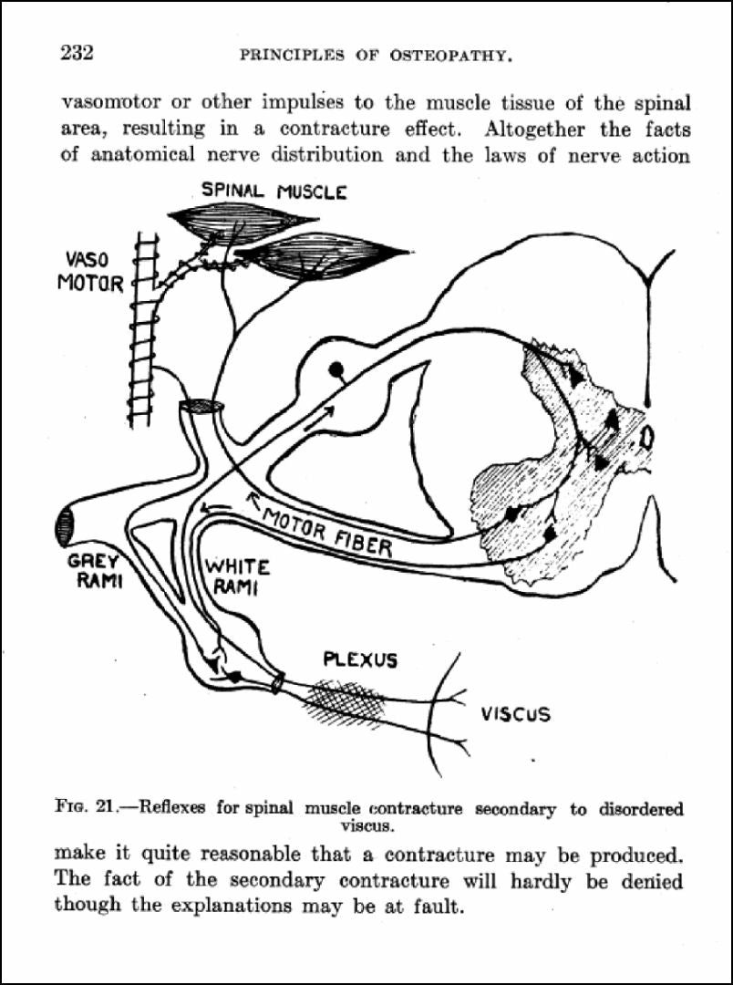 A Text Book of The Principles of Osteopathy eBook