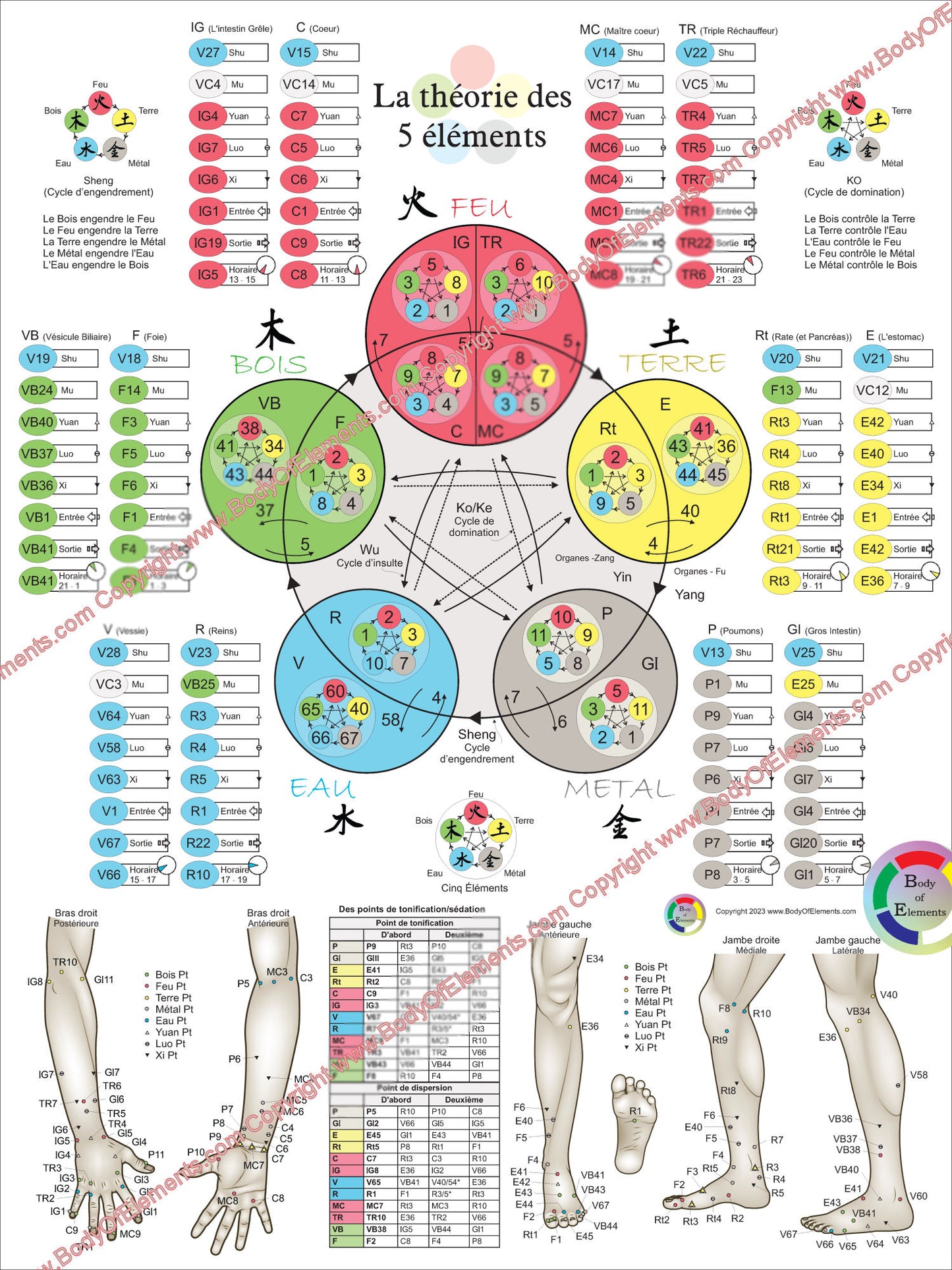 French Five Elements of Acupuncture Points Poster