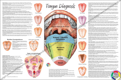 Chinese tongue diagnosis poster