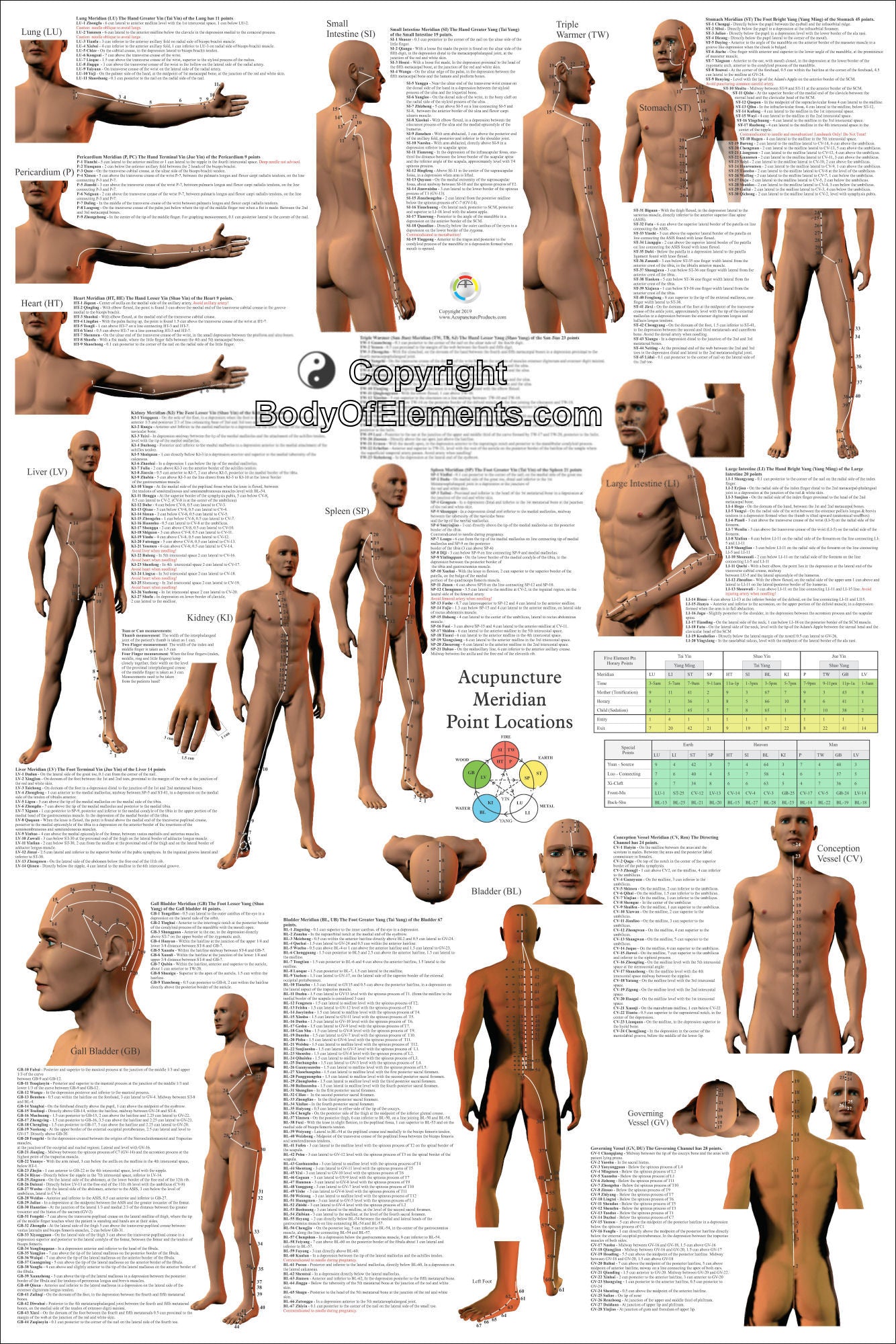 Acupuncture Point Locations Poster Vertical