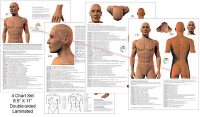 Acupuncture Point Location Reference Charts 8.5" X 11"