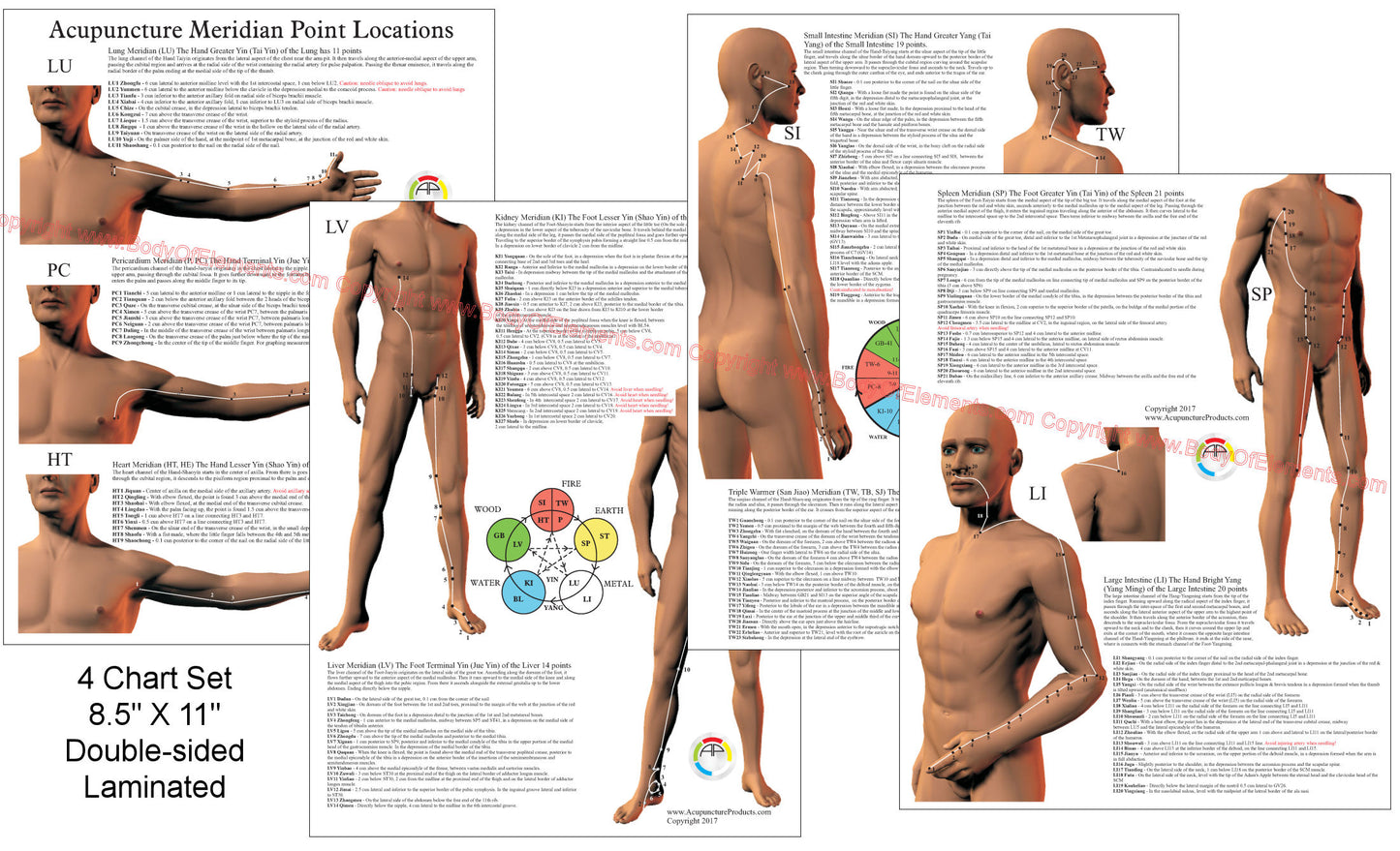 Acupuncture Point Location Reference Charts 8.5" X 11"