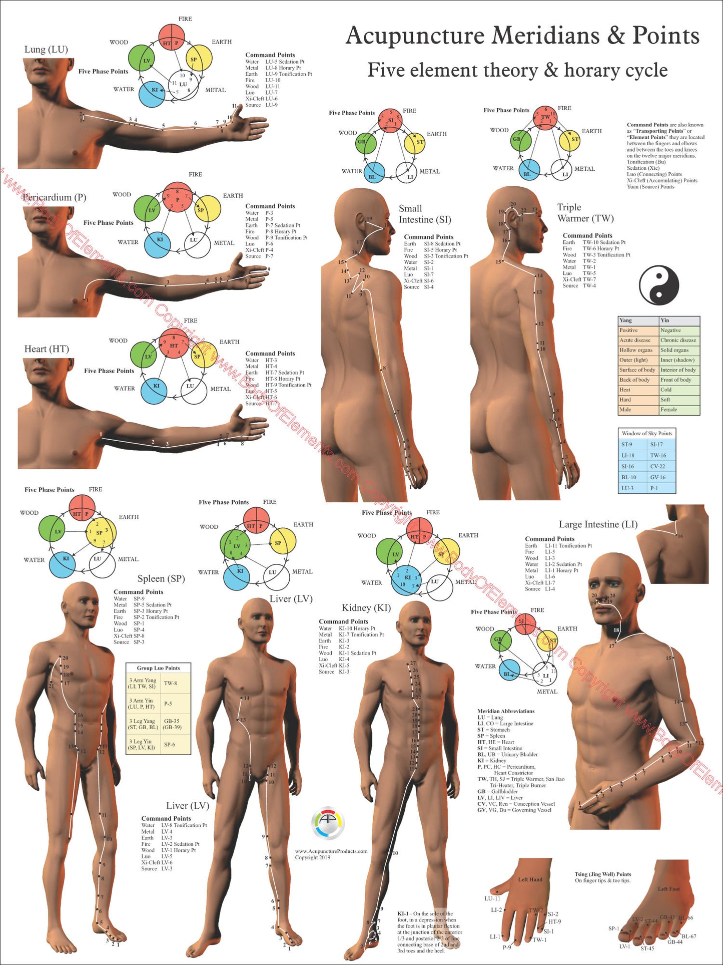 Acupuncture meridian point locations posters