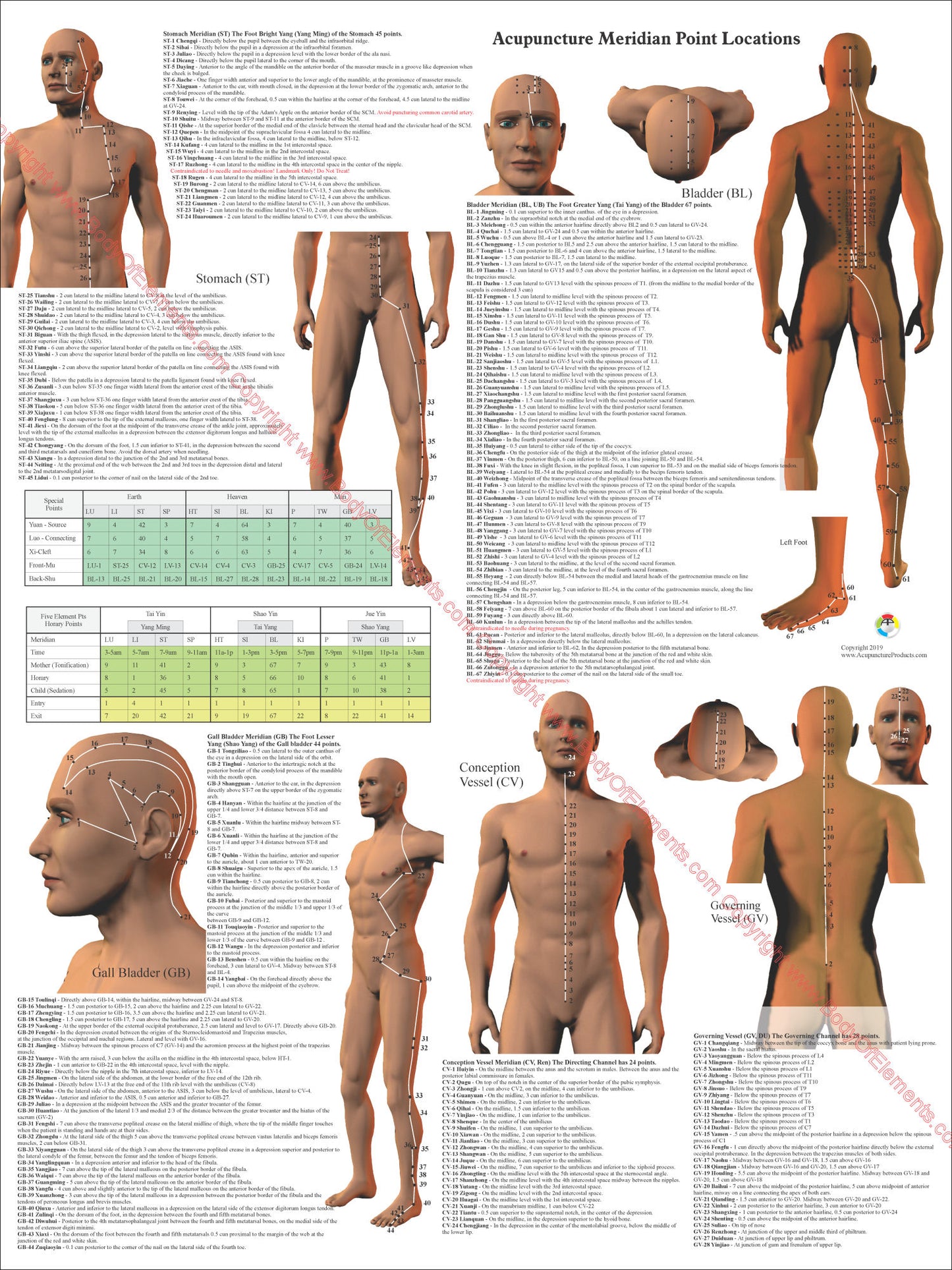 Acupuncture point locations charts