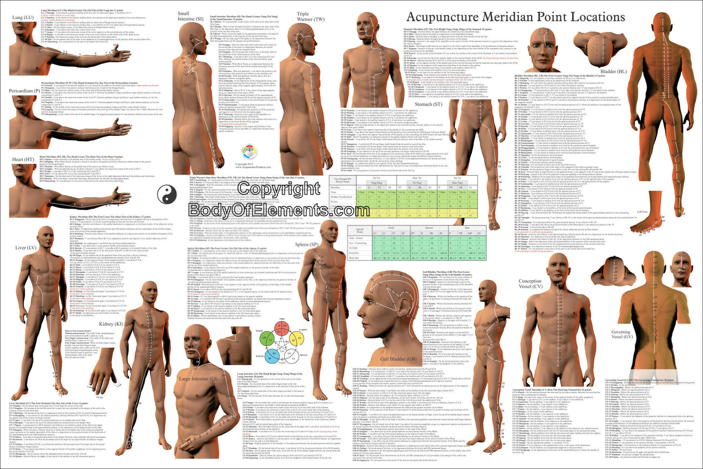 Acupuncture Point Locations Poster