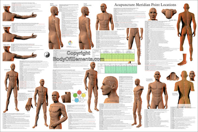 Acupuncture Point Locations Poster