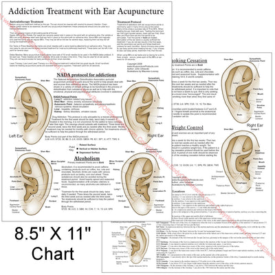 Smoking Cessation Ear Acupuncture Point Chart 8.5" X 11"
