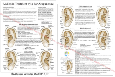 Smoking Cessation Ear Acupuncture Point Chart 8.5" X 11"