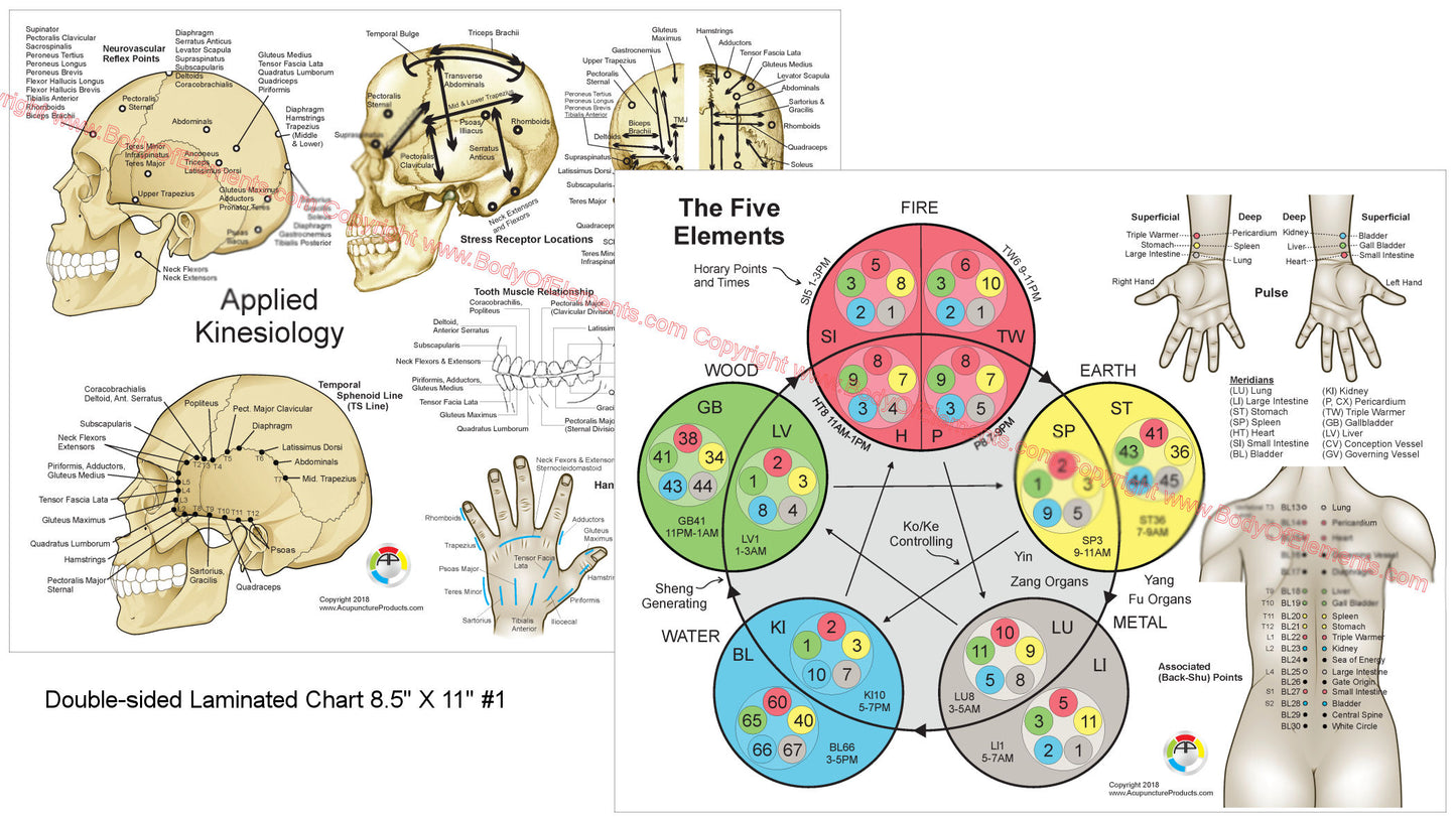 Applied kinesiology temporal sphenoid line chart