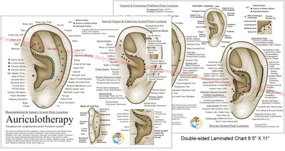 Auriculotherapy point locations chart