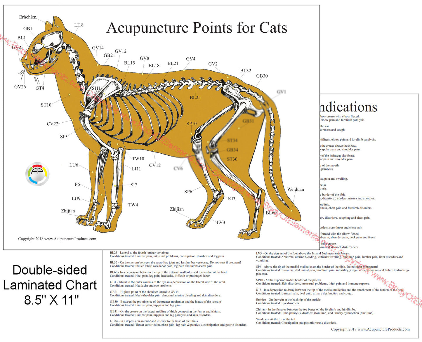 Cat feline acupuncture point locations chart