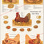 Anatomy of the hen anatomical chart