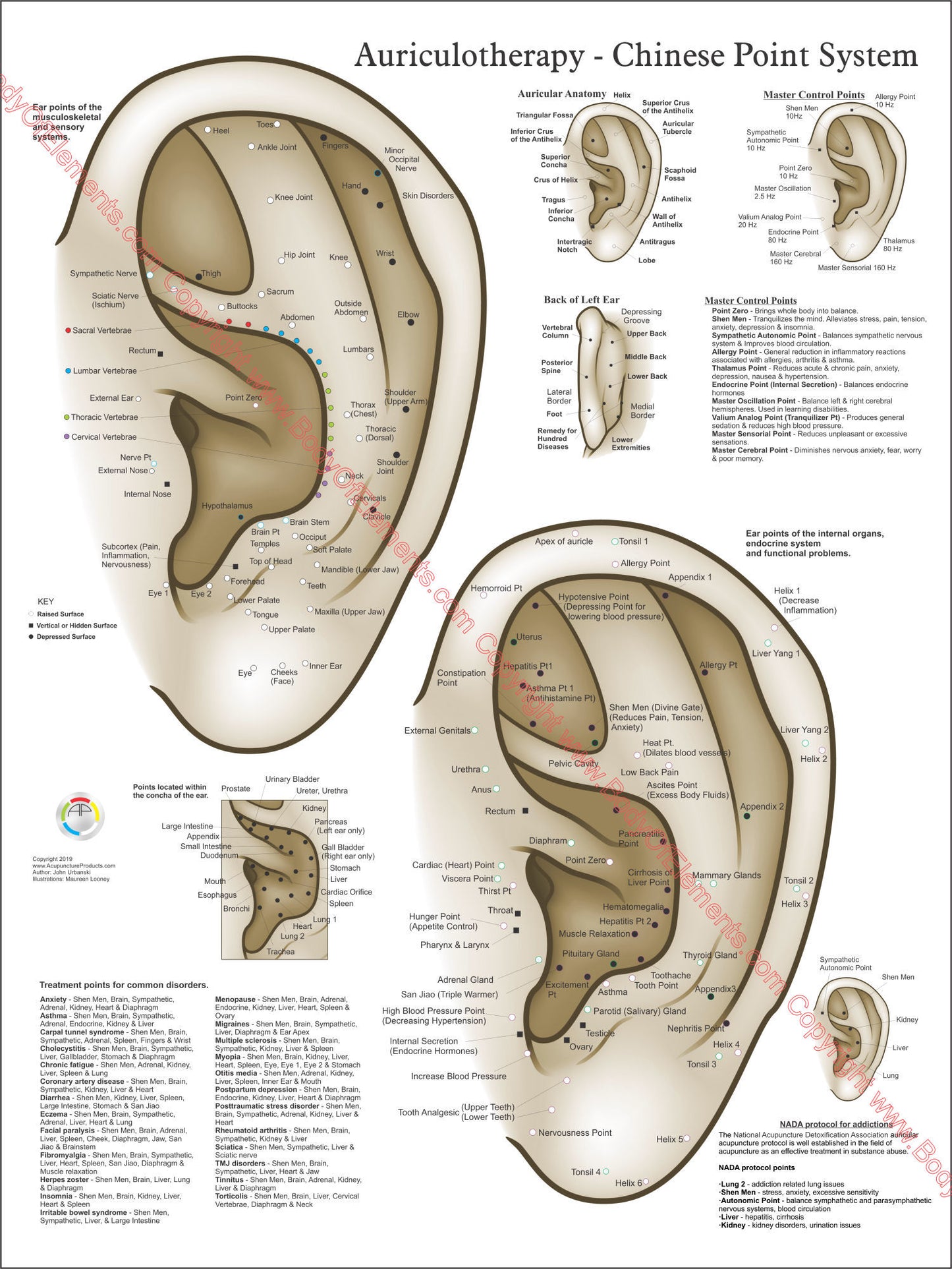 Auriculotherapy-points-wall-chart