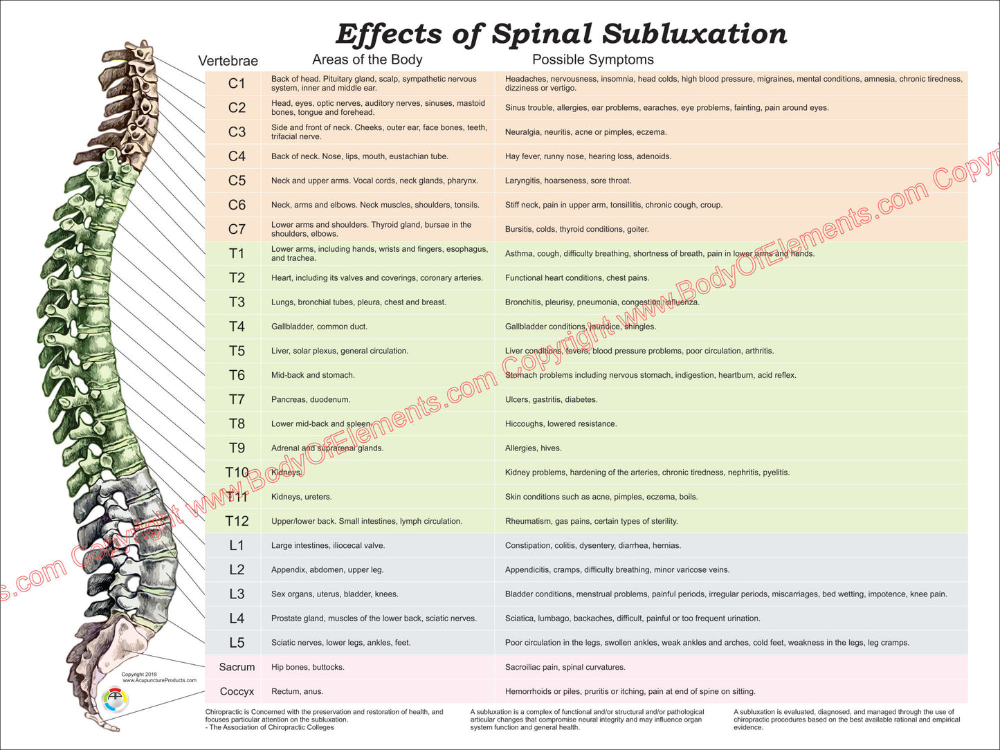 Effects of spinal subluxation poster
