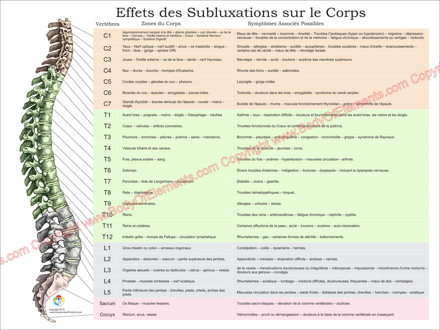 Effets des Subluxations sur le Corps
