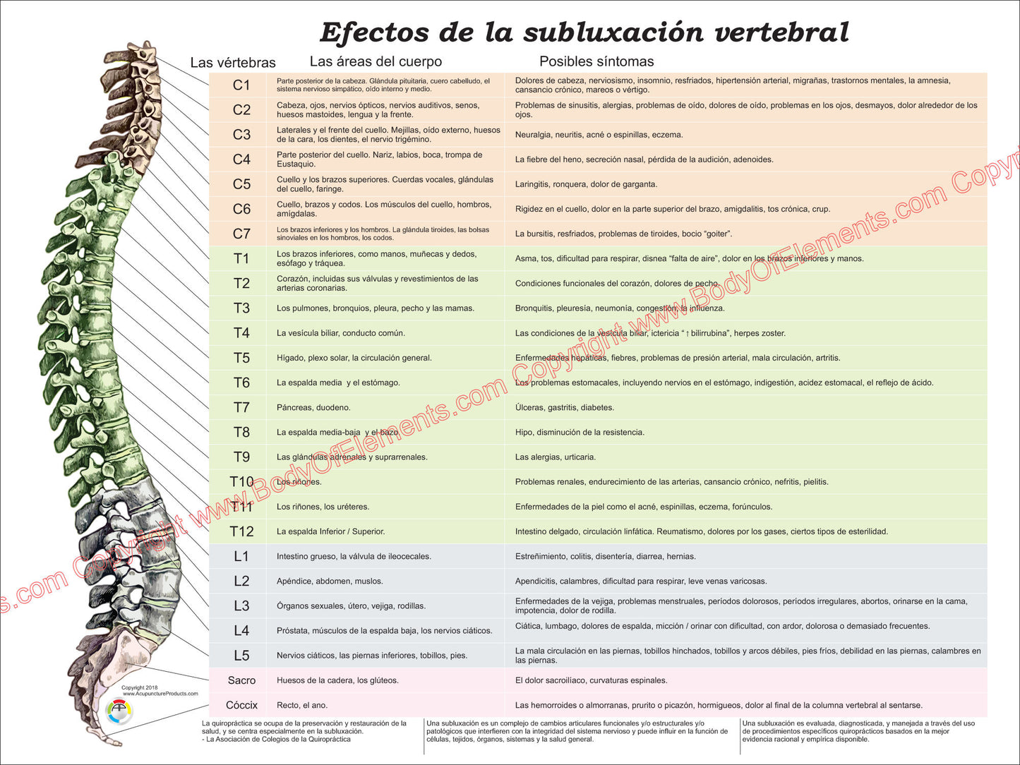 Efectos de la Subluxación Vertebral