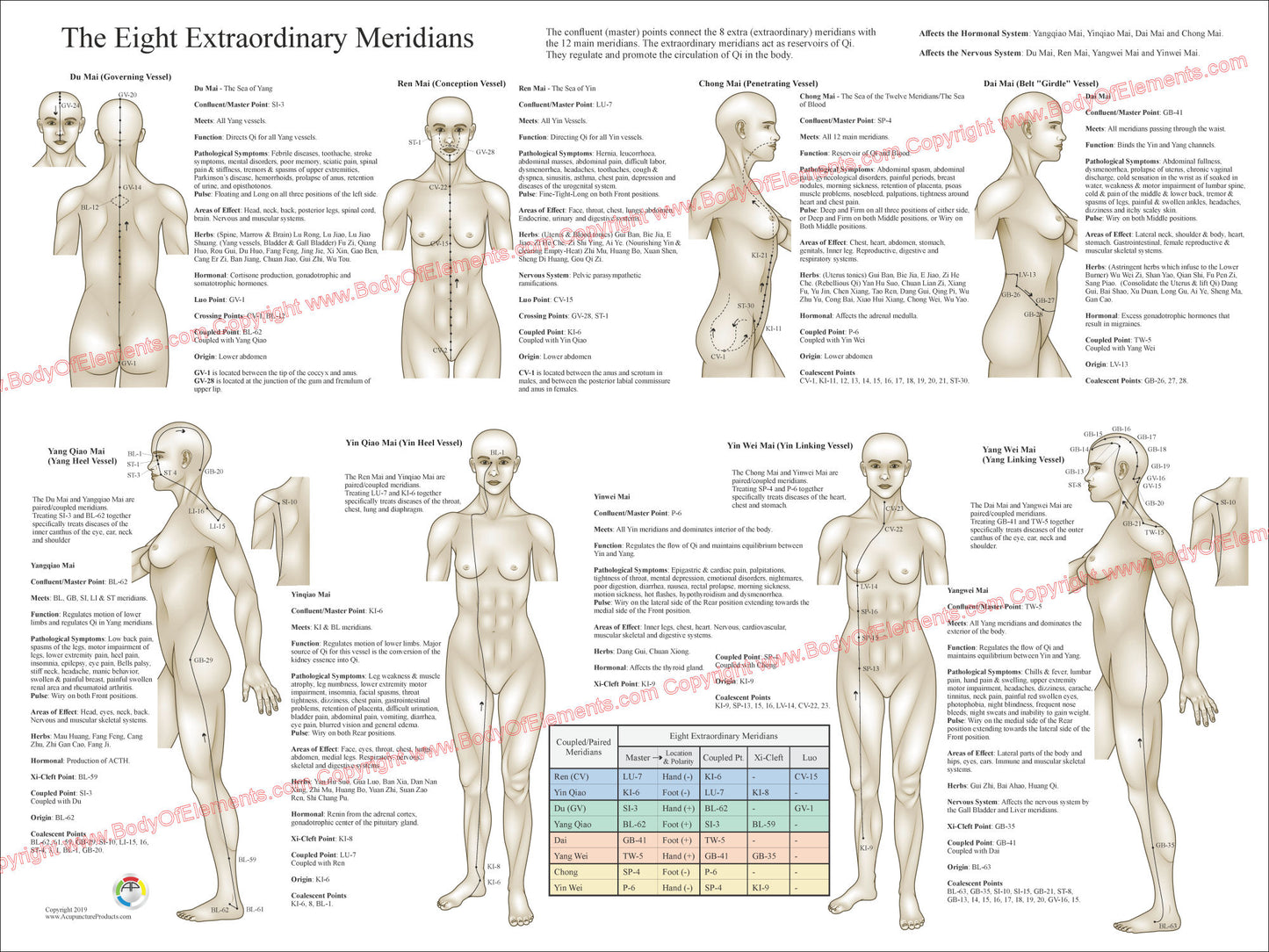 The Eight Extraordinary Meridians Poster