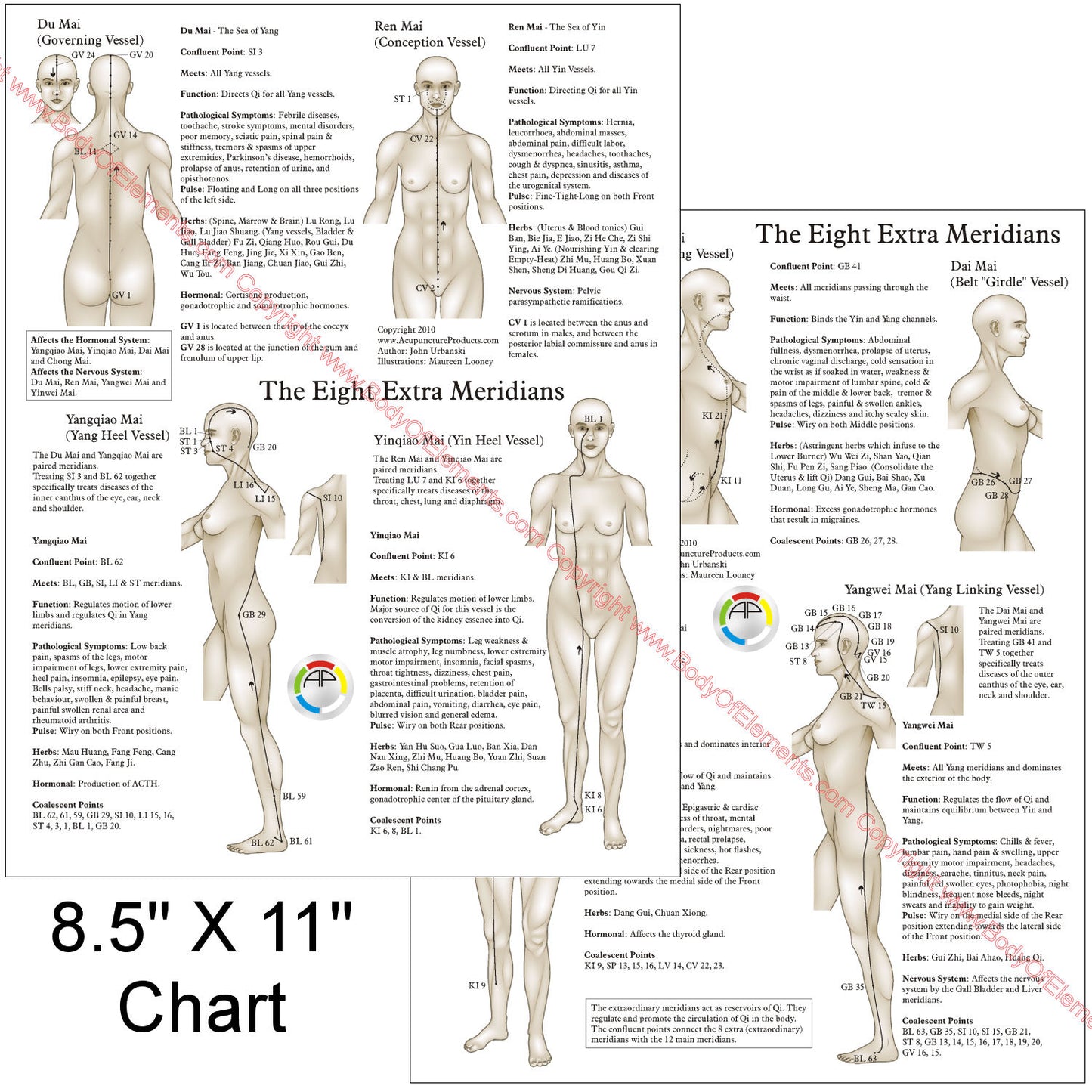 The Eight Extraordinary Meridians Chart 8.5" X 11"