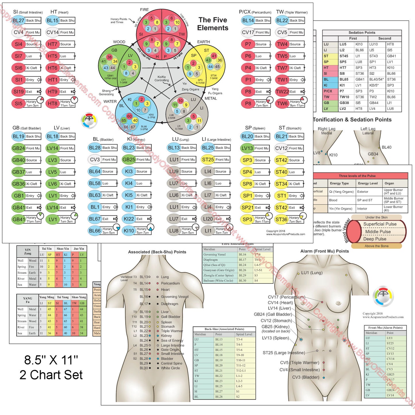 The Five Element Points of Acupuncture Charts 8.5" X 11"