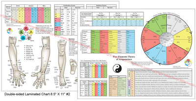 The Five Element Points of Acupuncture Charts 8.5" X 11"