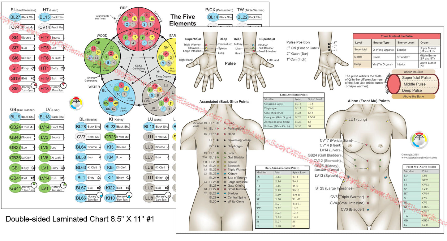The Five Element Points of Acupuncture Charts 8.5" X 11"